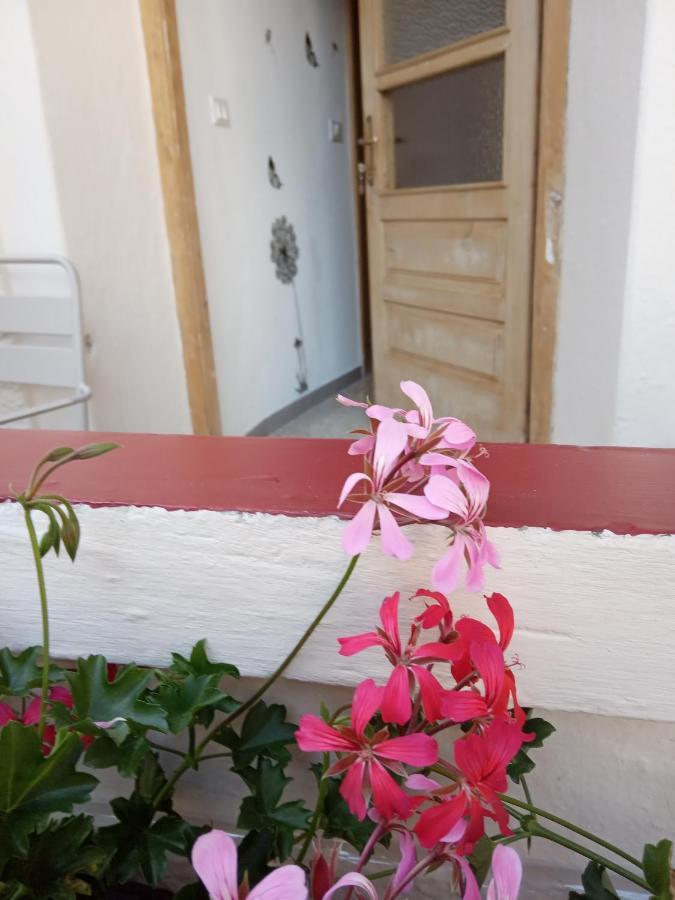 Castelfondo Da Valentina 아파트 외부 사진